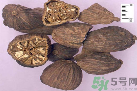 草果是什么？草果的功效與作用
