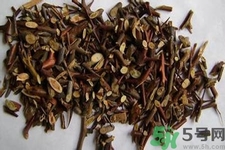 皂角刺的藥用價(jià)值是什么？皂角刺的功效與作用有哪些？