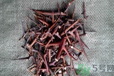 皂角刺的藥用價(jià)值是什么？皂角刺的功效與作用有哪些？