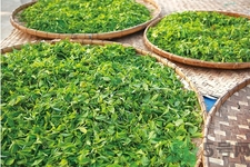 普洱茶怎么保存？茶葉能放冰箱嗎？