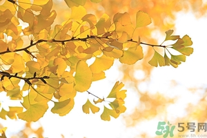 秋燥吃什么好？秋燥怎么辦？