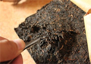 普洱茶怎么保存？茶葉能放冰箱嗎？