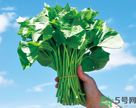 孕婦可以吃地瓜葉嗎？孕婦吃地瓜葉的好處
