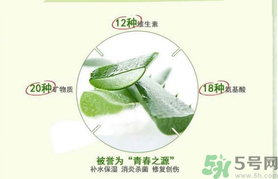 the saem得鮮和自然樂園哪個好？得鮮的蘆薈膠和自然樂園哪個好？