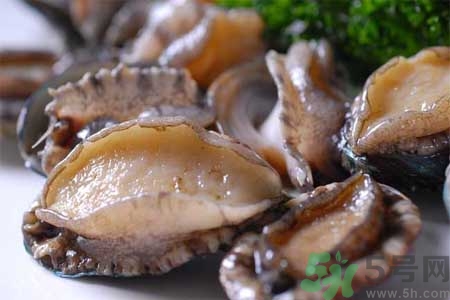 鮑魚(yú)的營(yíng)養(yǎng)價(jià)值有哪些？鮑魚(yú)的藥用價(jià)值是什么？