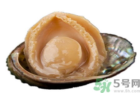 鮑魚(yú)的營(yíng)養(yǎng)價(jià)值有哪些？鮑魚(yú)的藥用價(jià)值是什么？