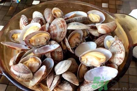 蛤蜊的食用方法有哪些？蛤蜊的營(yíng)養(yǎng)價(jià)值是什么？