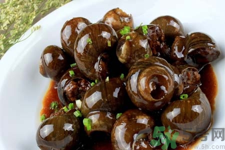 田螺肉怎樣做？田螺的營(yíng)養(yǎng)價(jià)值有哪些？
