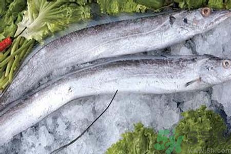 帶魚(yú)怎么洗？帶魚(yú)如何處理？
