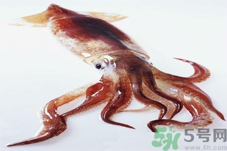 魷魚怎么處理？干魷魚怎么泡發(fā)？