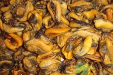 淡菜怎么洗？干淡菜怎么洗？