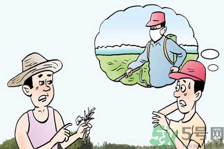 怎么洗掉水果上的農藥？農藥殘留的危害有哪些？