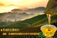 茶油是什么？茶油怎么吃？