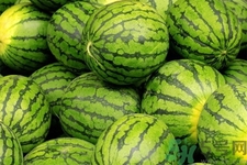 西瓜牛奶可以一起吃嗎？西瓜牛奶怎么做好吃？