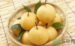 娃娃梨是怎么種出來(lái)的？娃娃梨為什么外形像娃娃？