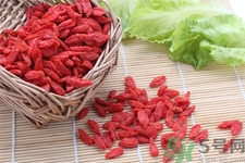 枸杞子泡酒怎么泡？枸杞酒的制作方法是什么？