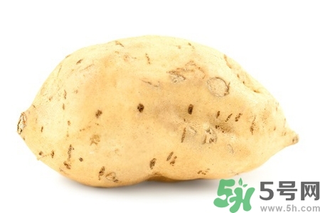 白薯的功效與作用 白薯的營養(yǎng)價(jià)值