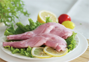 兔肉不能和什么一起吃？什么人不能吃兔肉？