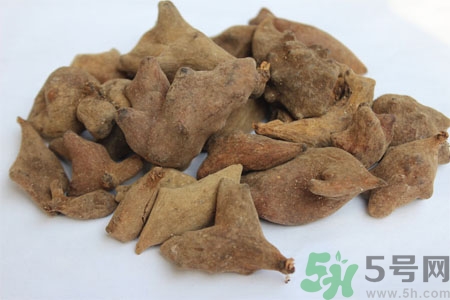五倍子能治早泄嗎？五倍子的副作用有哪些？