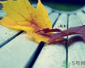 秋分出生的人怎么起名？秋分出生的人的命運？