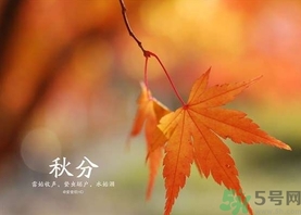 秋分吃什么？秋分吃什么水果？