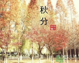 秋分吃什么？秋分吃什么水果？