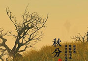 秋分吃什么？秋分吃什么水果？