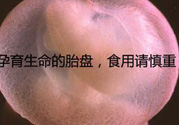 寶寶胎盤怎么處理比較好？?寶寶胎盤的功效與作用