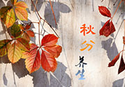 秋分喝什么茶？秋分養(yǎng)生茶飲推薦