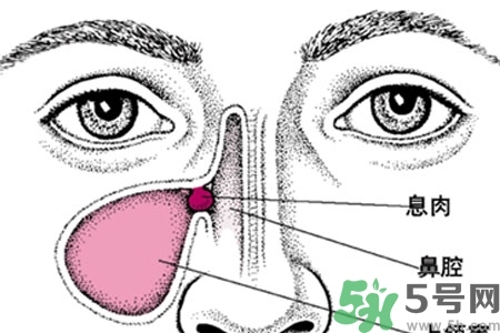 鼻子不通氣是怎么回事？鼻子不通氣怎么辦？