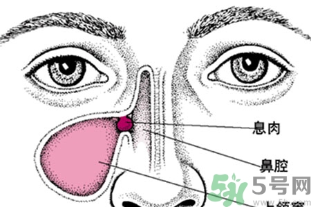 鼻子出血怎么辦？鼻子出血的原因是什么？