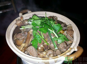 狗肉怎么做好吃？狗肉的做法