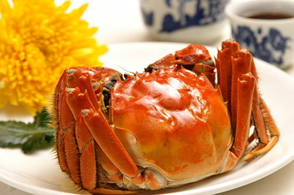 螃蟹什么季節(jié)最好吃？螃蟹幾月份吃最好？