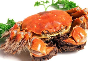 螃蟹什么季節(jié)最好吃？螃蟹幾月份吃最好？