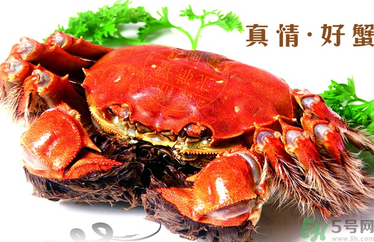 螃蟹什么時候吃最好？吃螃蟹的最佳時間 