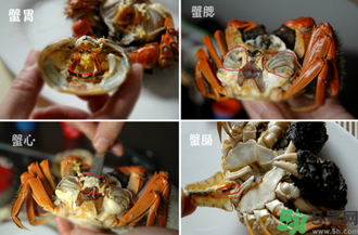 陽澄湖大閘蟹怎么吃？食陽澄湖大閘蟹注意事項(xiàng)