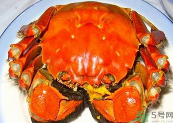 大閘蟹什么季節(jié)吃最好？吃大閘蟹的季節(jié)