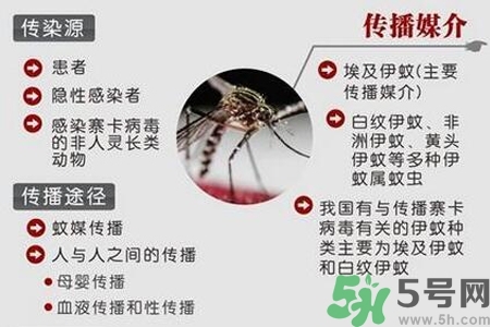 寨卡病毒會死人嗎？寨卡病毒會死嗎？