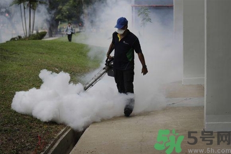 寨卡病毒會死人嗎？寨卡病毒會死嗎？