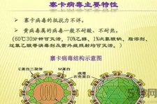 寨卡病毒對(duì)孕婦有危害嗎？寨卡病毒對(duì)孕婦的危害有哪些？