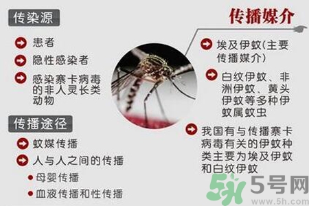 寨卡病毒對(duì)孕婦有危害嗎？寨卡病毒對(duì)孕婦的危害有哪些？