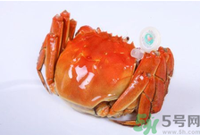陽(yáng)澄湖大閘蟹怎么做好吃？陽(yáng)澄湖大閘蟹的做法