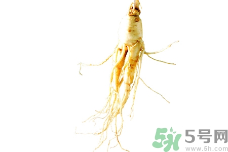 人參怎么吃效果最好？人參的做法大全
