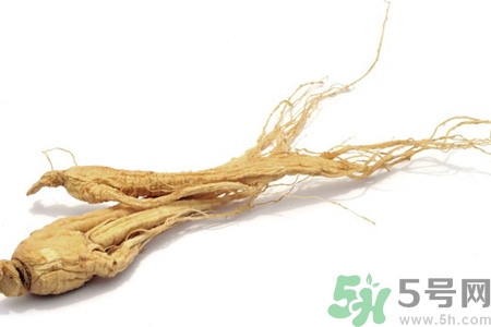 人參怎么吃效果最好？人參的做法大全