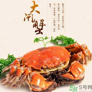 梁子湖大閘蟹什么時候上市？梁子湖大閘蟹上市時間