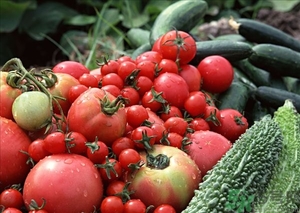 苦瓜汁可以敷臉嗎？苦瓜汁敷臉可以祛痘嗎