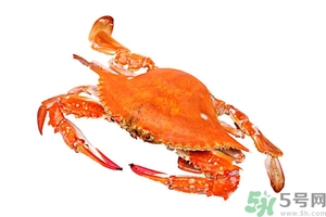 懷孕期間能吃螃蟹嗎？吃螃蟹會(huì)影響懷孕嗎？