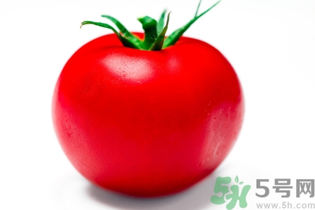 番茄和西紅柿有什么區(qū)別？番茄和西紅柿一樣嗎？