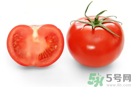 番茄和西紅柿有什么區(qū)別？番茄和西紅柿一樣嗎？