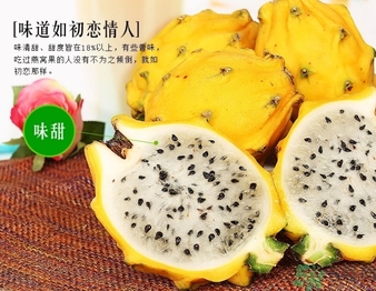 黃龍果多少錢一斤？黃龍果的功效作用